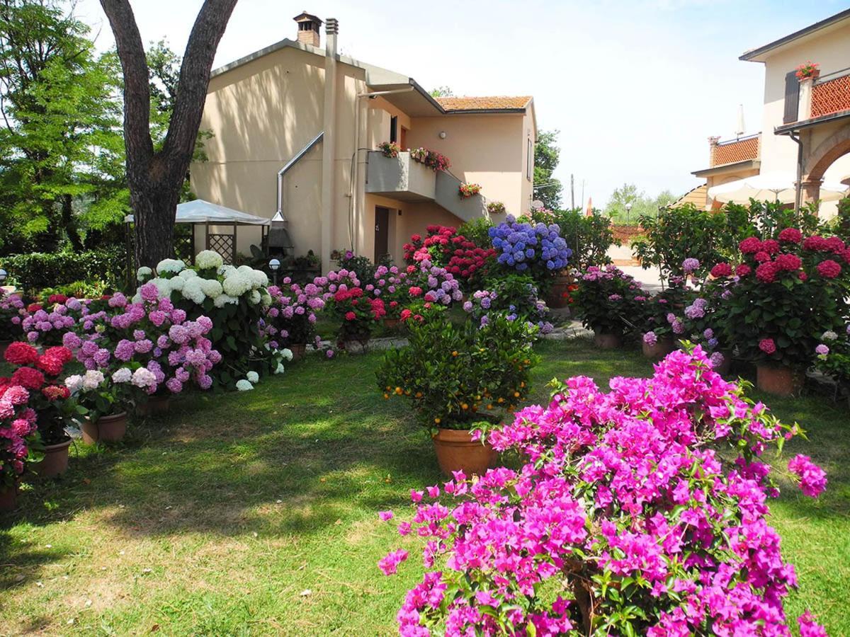 Hotel Le Renaie San Gimignano Eksteriør billede